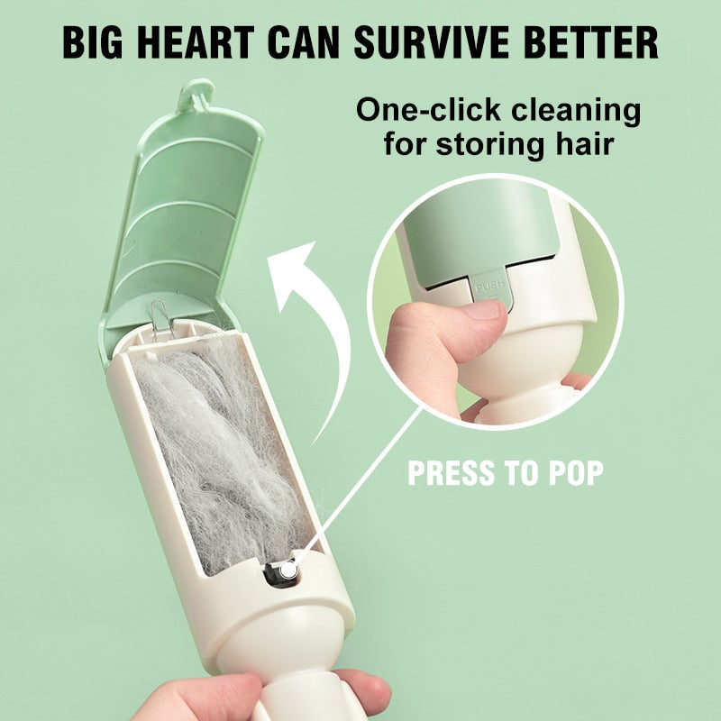 Hair Remover Roller