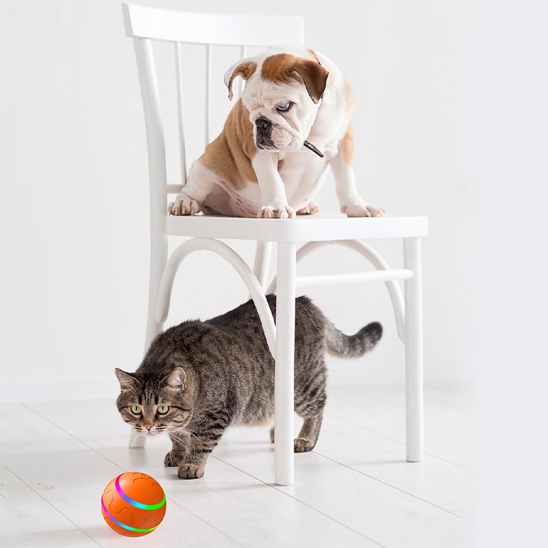 Interactive Dog Toys Dog Ball